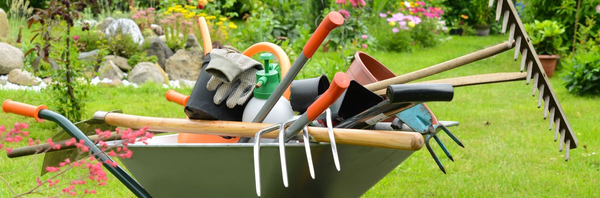 Agricoltura e giardino